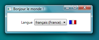 Capture d'écran en français